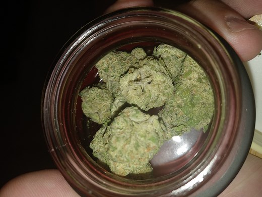 Snowball | Marijuana Strain Reviews