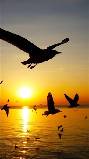 This is the scientific effect of nature... #trend #edit #viral #song #like#live #life #nature #world