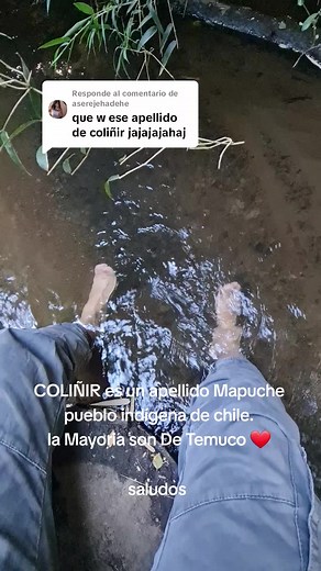 Cultura Mapuche: El Apellido Coliñir en Chile