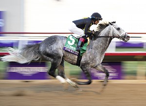 Value Sires for 2022, Part 1: New Stallions