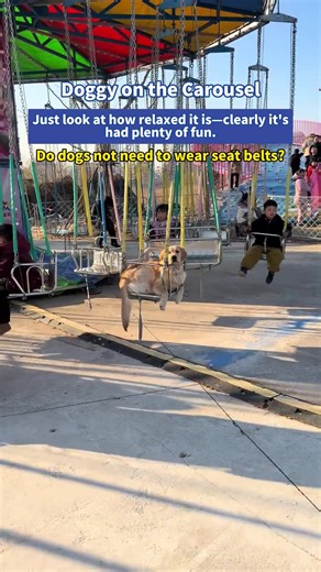 Doggy on the Carousel | dog