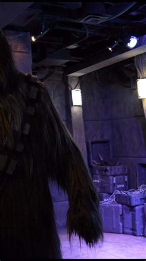 Goodbye Chewie 💔 | Our Final Star Wars Launch Bay Meet & Greet Our last time meeting Chewbacca at Star Wars Launch Bay 💔 This Wookiee has been a favorite part of our Disney visits for years, and saying goodbye was emotional. Thank you, Chewie, for all the hugs, laughs, and memories. ✨ See you on Batuu! . . . #StarWars #DisneyWorld #Chewbacca #StarWarsLaunchBay #HollywoodStudios #DisneyVlog #StarWarsFans #DisneyParks #ChewbaccaMeetAndGreet #galaxysedge | Falcon Squadron