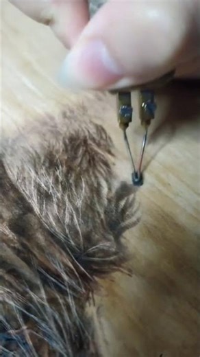 ETHEREAL Deer Motif comes to life through Handcrafted Wood Burning *Magic of Pyrography!*