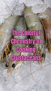5.1K views · 37 comments | Have you ever wondered why crustaceans change their color on cooking? it’s one of the most important cues used in cooking crustaceans, and the reason behind it is fascinating. It’s just like a fashion show with a big surprise reveal at the end and it’s all because of the wonderful world of proteins, pigments, and heat. #foodscience #flavorscience #cooking #recipes | Nik Sharma | Facebook