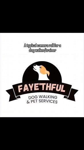 Yep, that's right, full of dogs 🐾 #dogtraining #dogwalker #gooddog #cockerpoo #cockerspaniel #spaniel #doberman #bordercollie #jackrussellterrier @the_honest_dog #mixbreed #staffy #goodtimes #vibes | Faye'thful Dog Walking