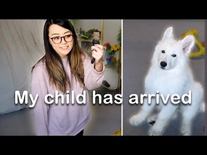 Child has arrived | PotasticP Twitch Highlights