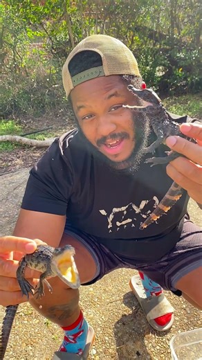 Crocodile vs Caiman Part 1 #Yox2 #crocodile #reptiles #explore