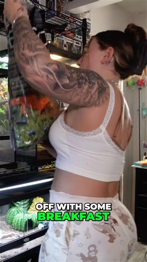 SETTING UP THE NEW ENCLOSURE FOR MY LEACHIE!!