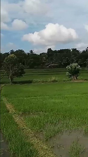 🚆 Nature Views from Train Window | Peaceful Scenic Journey 🌿🏞️