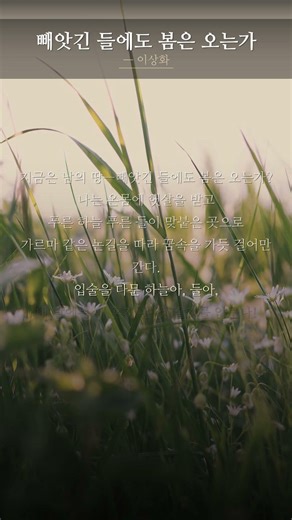 마음이 울컥했던 시 | 빼앗긴 들에도 봄은 오는가 — 이상화 #Shorts
