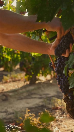 Let's focus on your financial future. Get your hand-crafted Wealth Blueprint™ and move forward confidently. ✅ Tax-efficient retirement strategies ✅ Custom long-term ""what if"" scenarios ✅ Second opinion using our proprietary Plan-Led Investing™ | Wealth Enhancement | Facebook