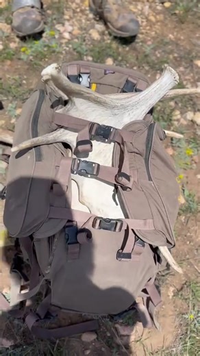 Crazy moose paddle day! #fyp #viral #outdoors #nature #fishing