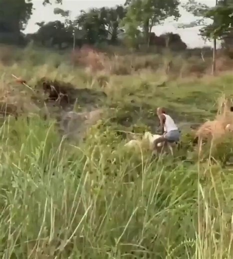 Emily Medina (@EmilyMedin81182) on X