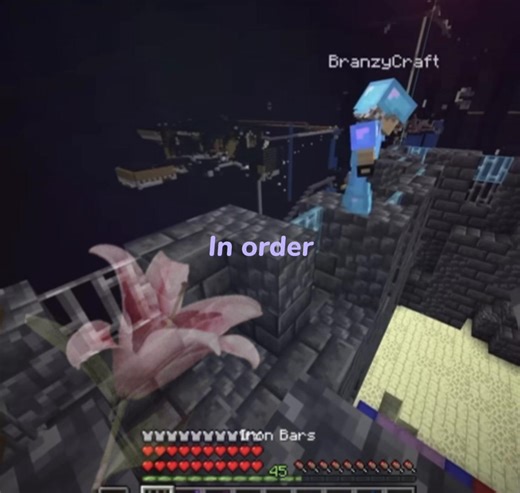 Amor por Minecraft y diversión