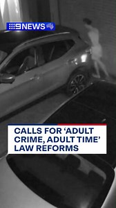 6.5K views · 62 reactions | A major loophole has come to light on Queensland's 'adult crime, adult time' laws, after a supermarket worker was stabbed on the job. #9News | 9 News Queensland | Facebook