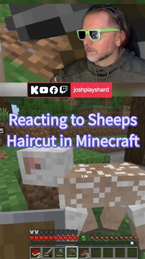 Shearing Sheep in Minecraft Gets WEIRD