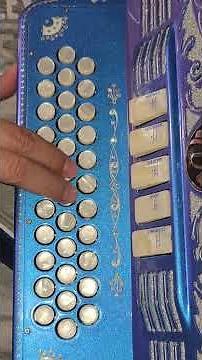 adorno de primera de FA acordeon de FA #vincitore accordion #music #tutorial #shorts #free