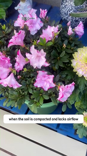 Tips for soil
