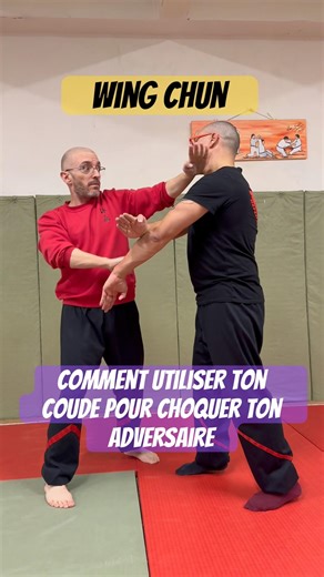 Wing Chun : cette application va te choquer #wingtsun #selfdefense #kungfu