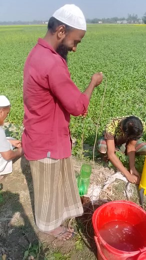 Extracting Natural Juice from Roots in Rural Setting