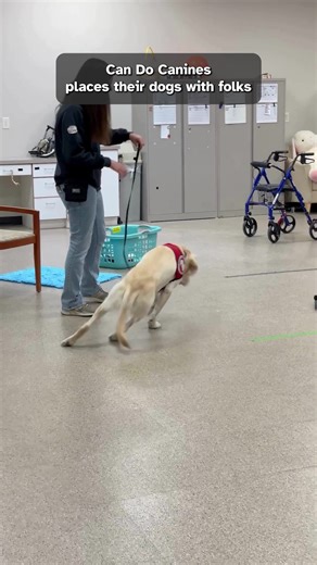 Recently, Breaking Bad star RJ Mitte visited our facility in New Hope, MN. RJ, who also has cerebral palsy, is a passionate advocate for our mission of providing specially trained dogs for people with disabilities. Early giving is open already for Give to the Max Day! Donate today at 🔗can-do.link/gtmd | Can Do Canines