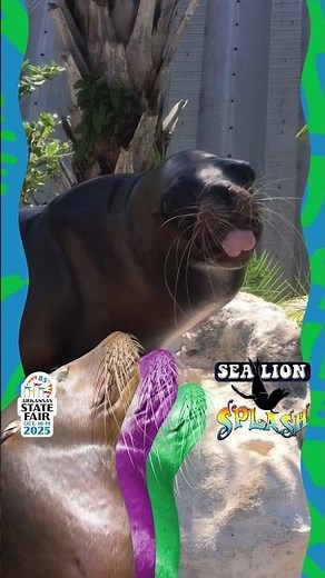 Free Attractions at the Arkansas State Fair