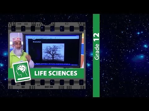 Evolution by Natural Selection