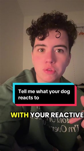 Understanding Dog Behavior: Tips for Reactive Dogs