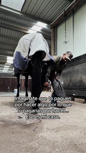 The Joy of Working with Horses in Mexico