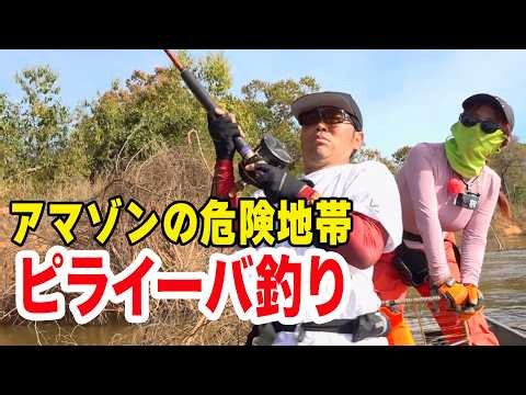 [Fishing Party!] Catching a Piraiba in the Amazon