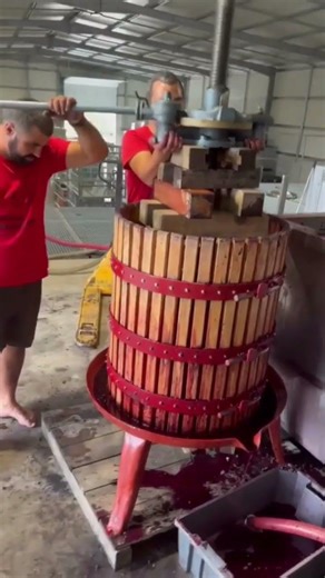 Old Wooden Barrel Wine Press Machine | How Grapes Become Juice | Ancient Grape Press Process