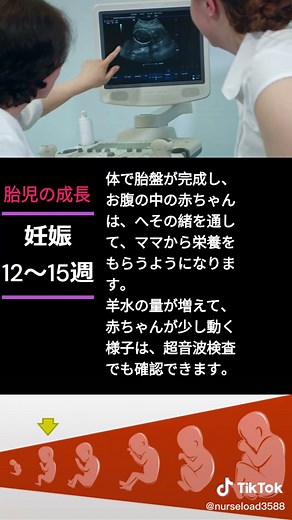 胎児の成長と健康に関する知識
