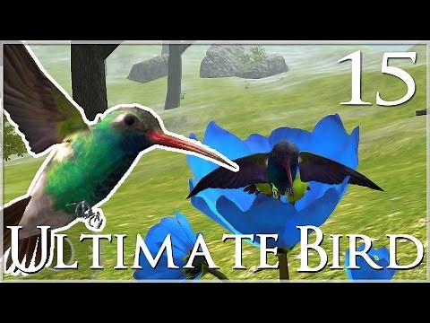 Searching the Flower Fields for a Mate!! 🐦 Ultimate Bird Simulator - Episode #15