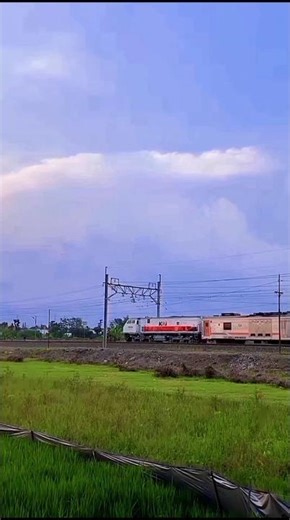 kereta api logawa melintas di sore hari dengan pemandangan sunset yang indah