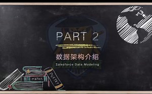 P2 Salesforce开发初级课程-了解标准和自定义对象（Understand Standard & Custom Object）