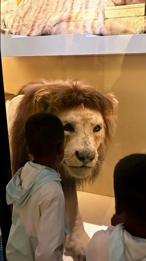 Exploring London with Kids 🚌 Peppa Pig Bus Tour & Museums!