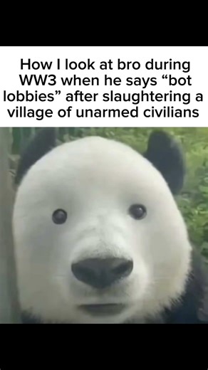 When bro says bot lobbies