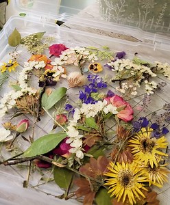 116K views · 1.4K reactions | Hey Y'all  Here is my full video on...