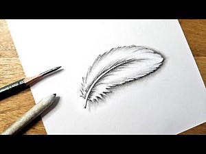 Pencil drawing of a feather - step by step