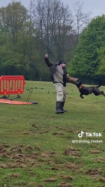 Understanding Dog Training Techniques for Working Dogs