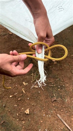 the Best Tarpaulin Knot❗#knot #short