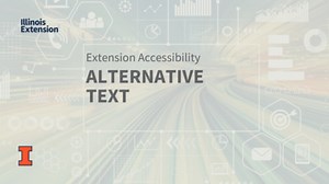EXT ACCESSIBILITY: Alternative Text