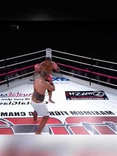 Hilarious UFC Moments and Knockouts