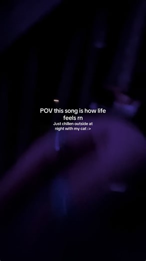 User_not_found?🤨 (@actually_rae_)’s video of cat