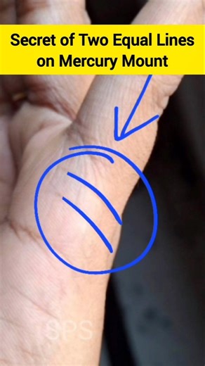 Two Equal Mercury Lines 🤫 #palmistry