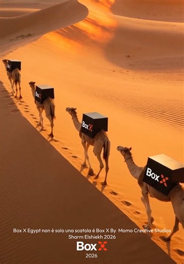 “Le spedizioni BOX X partono dal Mar Rosso 🌊 attraversano il Mediterraneo ✈️ e arrivano direttamente in Italia 🇮🇹 📦 in soli 10 giorni lavorativi.” • • • Per maggiori info e dettagli dall’Egitto o dall’Italia contattaci subito in DM o su WhatsApp num 39 392 5344884 • • • #boxxegypt #sharmelsheikh #spedizioniintuttaitalia #shipping #Italia • • • @Momo Solare @عادل حماده