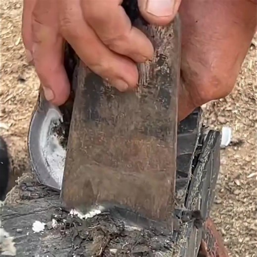 So amazing 🤩🤩 cop 👏👏 | sleep eat fisheries