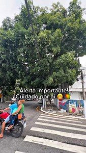 Nostalgia Belém on Reels