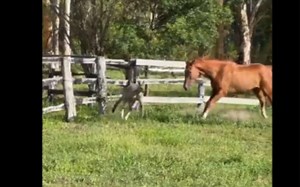 马：从我家里滚出克！