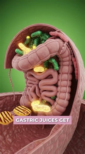 Your Body vs Grilled Cheese Funny Anatomy Reaction 😂